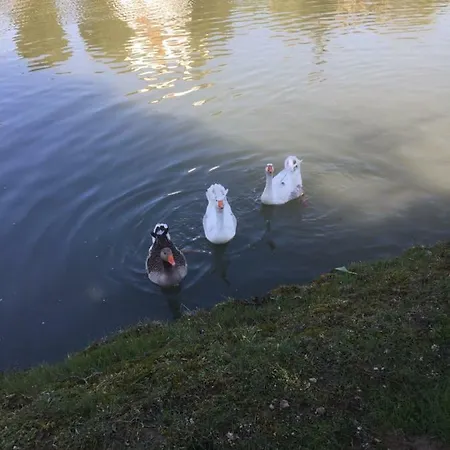 فندق مبيت وإفطار Dimora Naviglio دولو