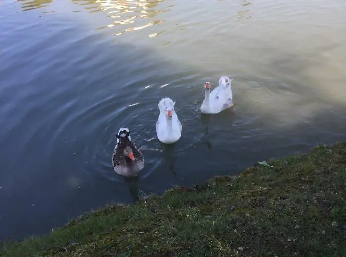 Frühstückspension Dimora Naviglio Dolo